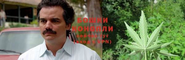 шишки Кулебаки