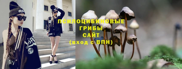 шишки Кулебаки