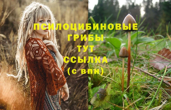 шишки Кулебаки