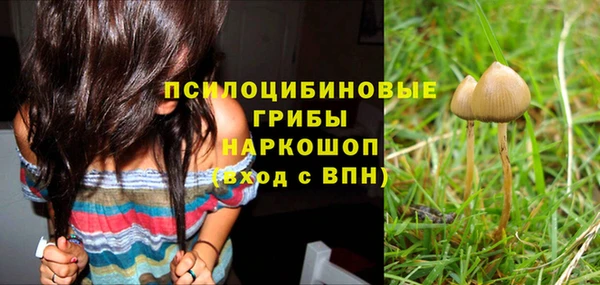 шишки Кулебаки