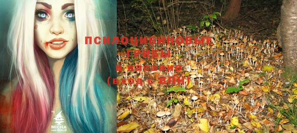 шишки Кулебаки